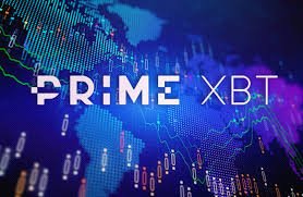 How Many Users Are On PrimeXBT Understanding Its Popularity and Usage