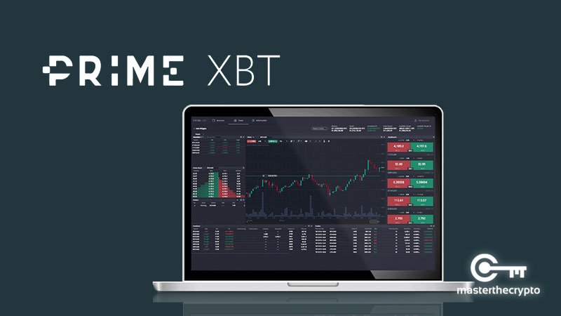 How Many Users Are On PrimeXBT Understanding Its Popularity and Usage
