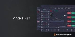 How Many Users Are On PrimeXBT Understanding Its Popularity and Usage