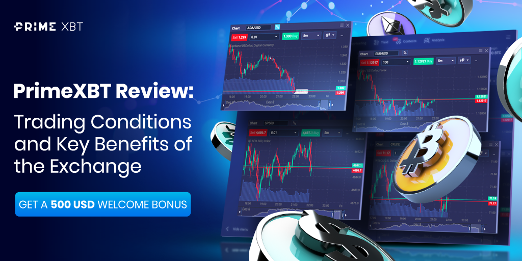 Unlocking the Potential of PrimeXBT Trading Hub